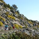 Escursione-naturalistica-a-piedi